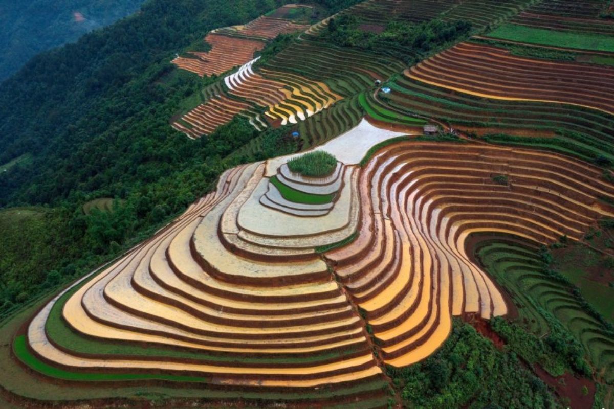 explore golden rice terraces, rich culture, and stunning landscapes