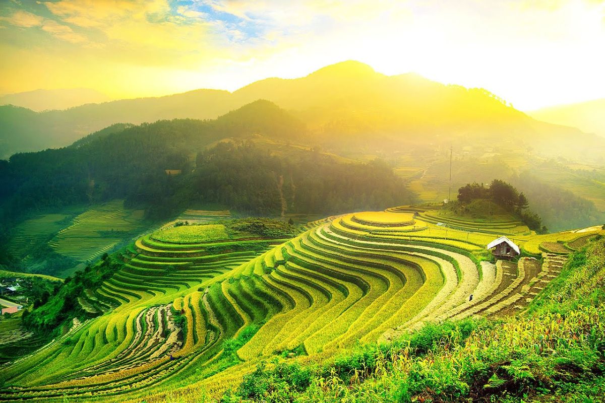 Mu Cang Chai Tours Plus Halong Cruise: 6 Days ($660)