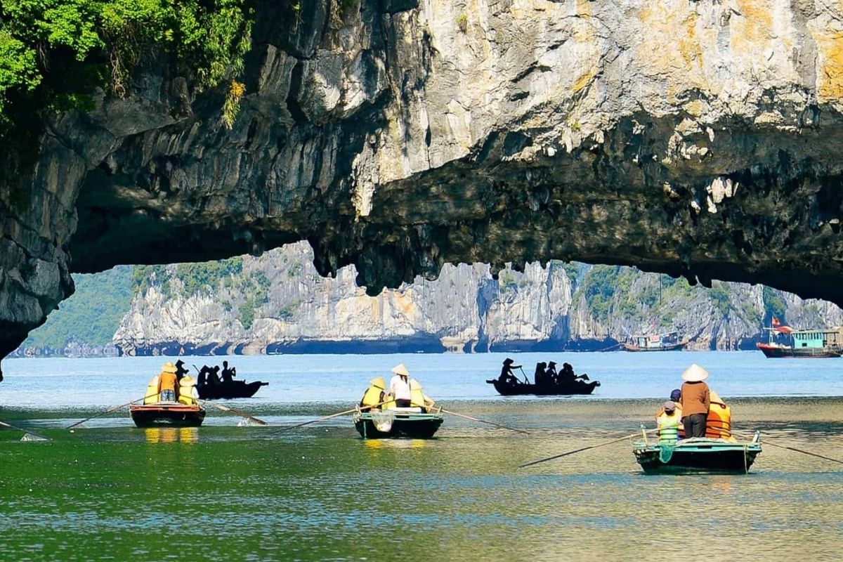 Embark on Halong tours