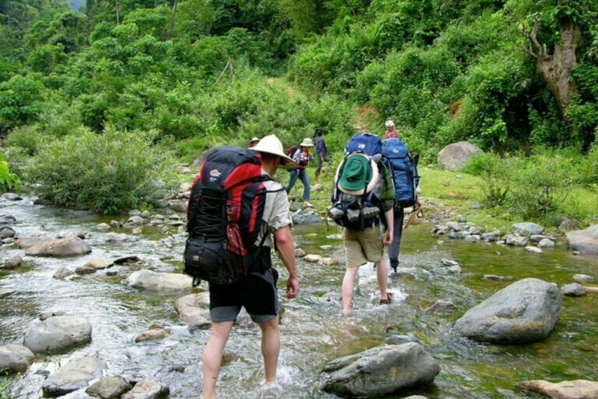  Explore serene landscapes, trek rice terraces, and immerse in Thai culture with Pu Luong Tours.