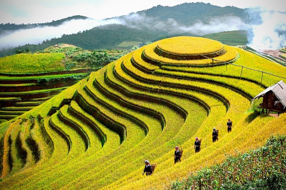 2 days of adventure, stunning rice fields, lush forests, and cultural immersion in Vietnam's hidden gem