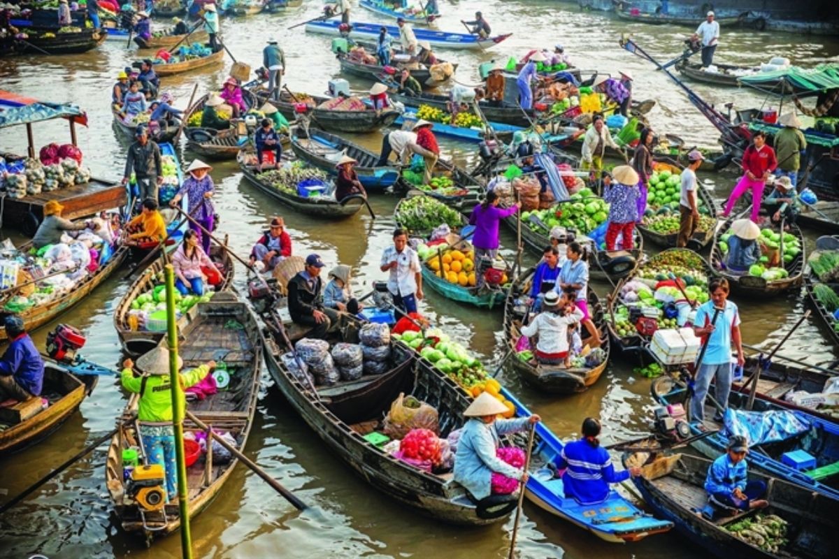 Embark on the Mekong tour (My Tho - Can Tho)