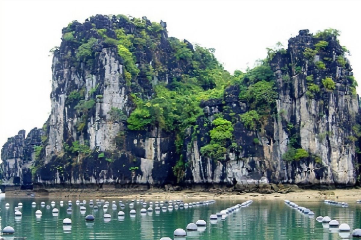 Experience Halong Bay's luxury with Halong Opulent Tours