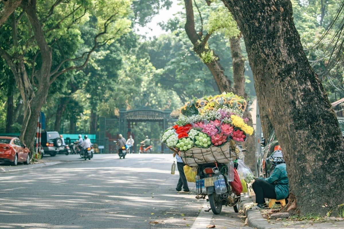 Explore Vietnam's history, culture, and nature, from Hanoi Tours to the Mekong Delta! 