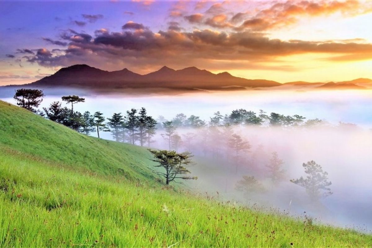 Soulful Ho Chi Minh - Dalat to Danang tour: 7 days (DN12) 