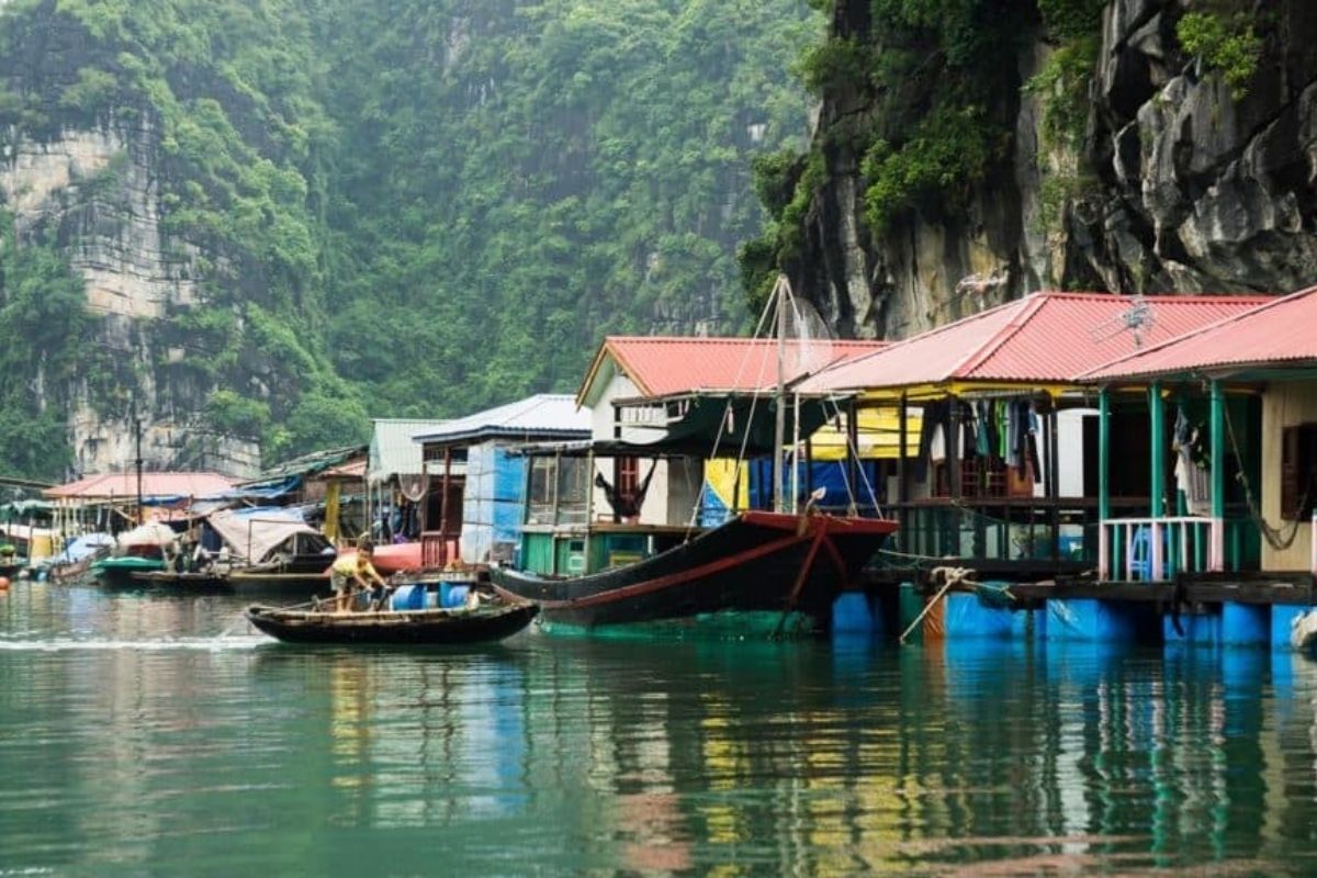 Hotel in Halong & cruise tour