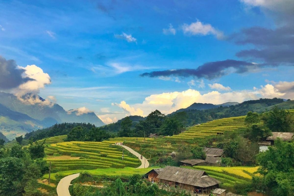 Discover the allure of Sapa tours