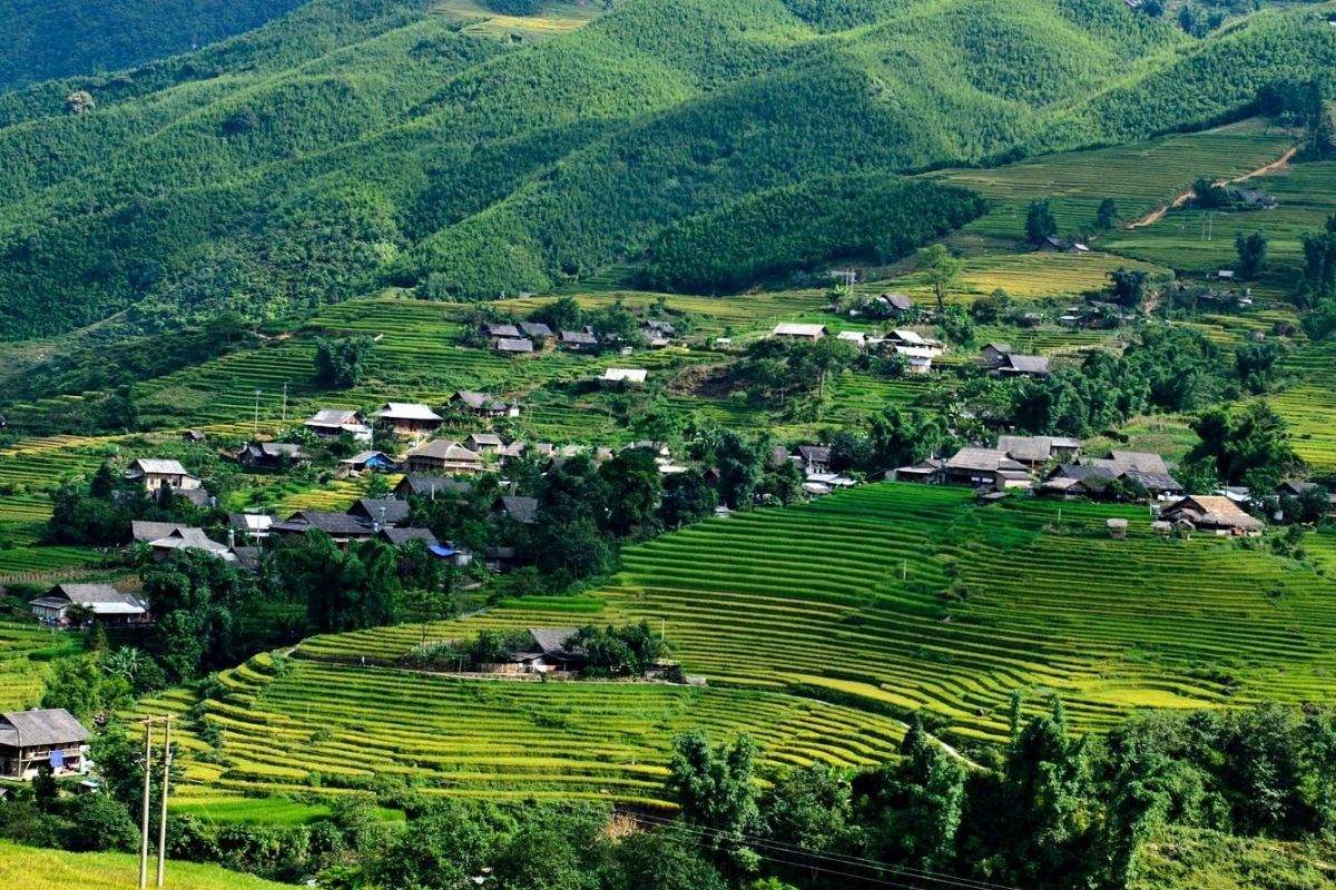 Discover the allure of Sapa tours to explore Y Linh Ho village