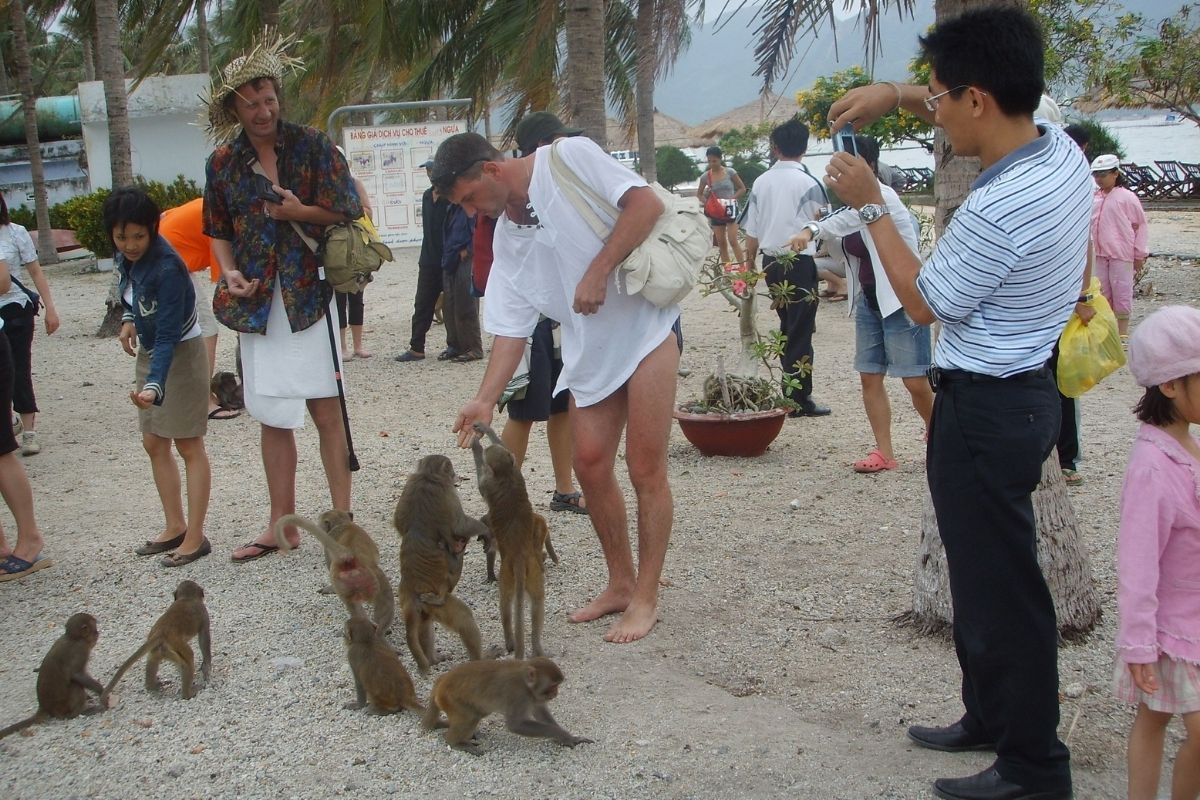  Discover the beauty of Halong Bay with our Halong tours to explore Cat Ba Island