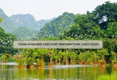 Thung Nham Bird Sanctuary Ninh Binh Tour: 2 Days ($230)