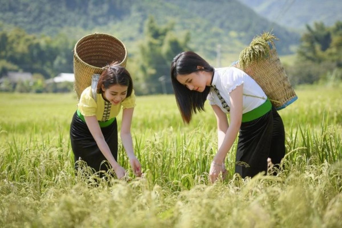 To Explore Ethnic Villages