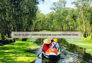 Tra Su Cajuput Forest Is $297 For Chau Doc Mekong Tours