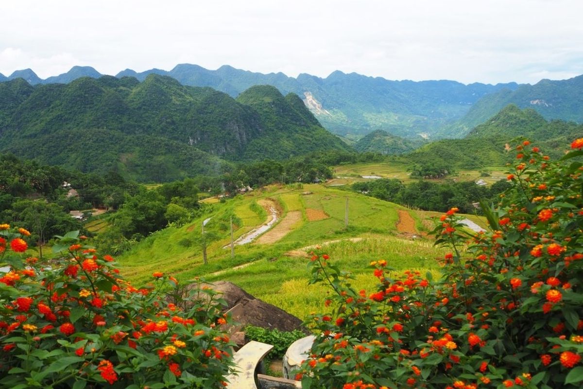 Discover terraced fields, lush forests, and local culture on an unforgettable $95 guided adventure