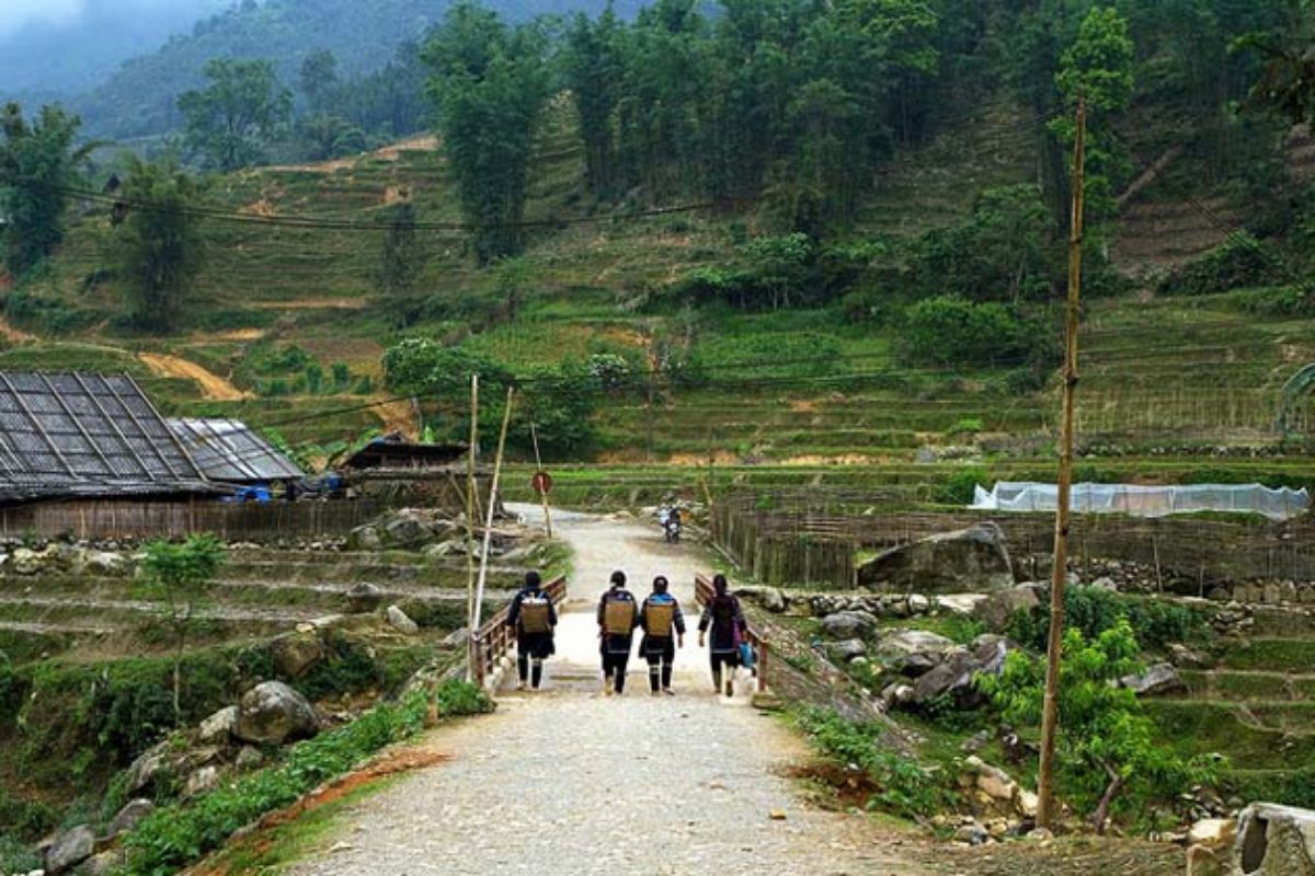 Embark on the Trekking Lao Chai - Ta Van Sapa tour