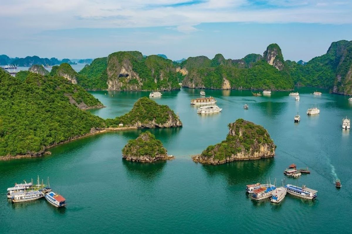 Turquoise Halong Tours Cruise To Monkey Island (2,3 Days) 