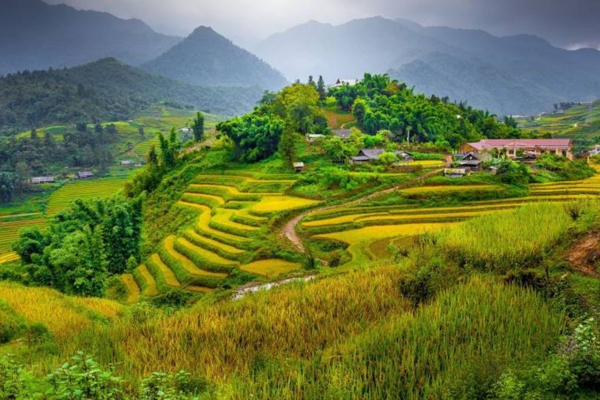 Typical Saturday Pha Long Market 3 Days For Sapa Tours 