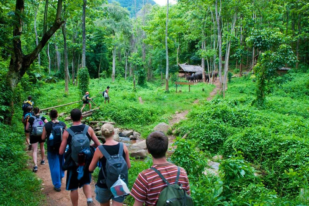 Embark on Ninh Binh Tours to trek in Cuc Phuong Park