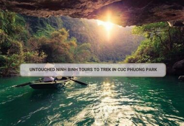 Untouched Ninh Binh Tours To Trek In Cuc Phuong Park