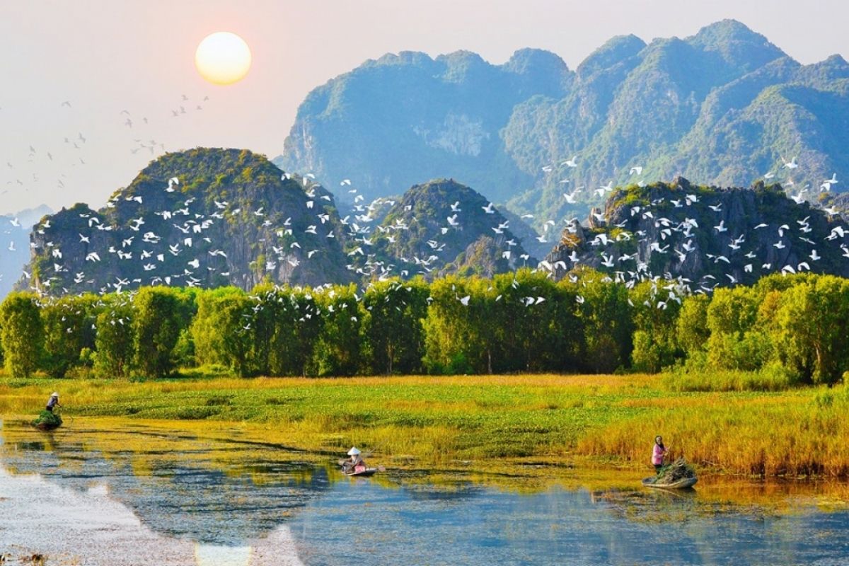 Explore the serene beauty of Van Long Nature Reserve Ninh Binh Tour