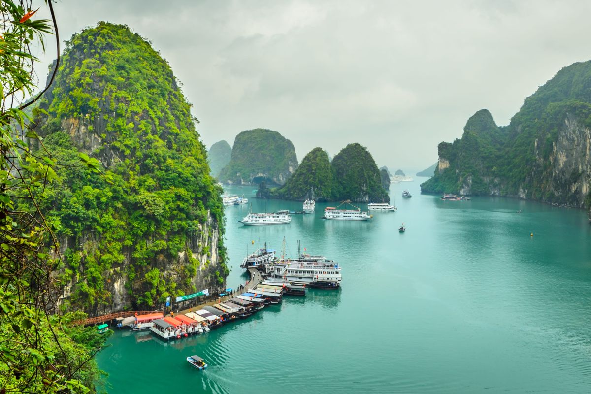 luxury cruise Halong tours