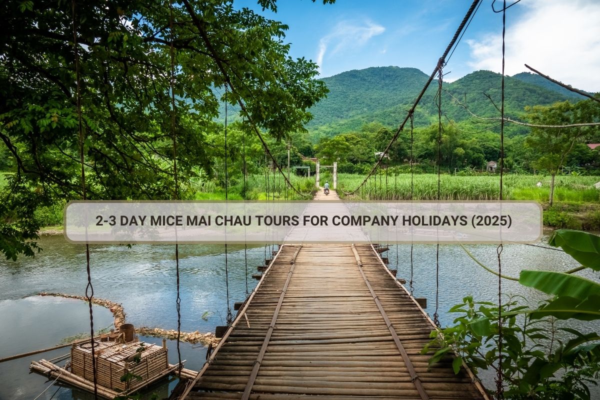2-3 Day MICE Mai Chau Tours For Company Holidays (2025)