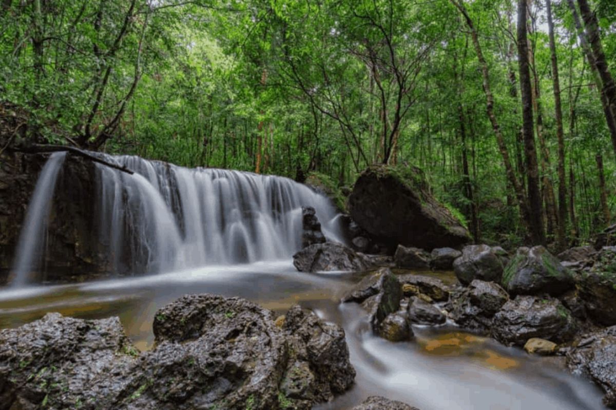  Have an unforgettable journey with our Phu Quoc island