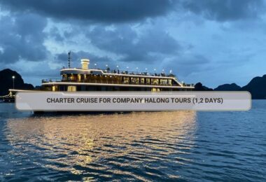 Charter Cruise For Company Halong Tours (1,2 Days)