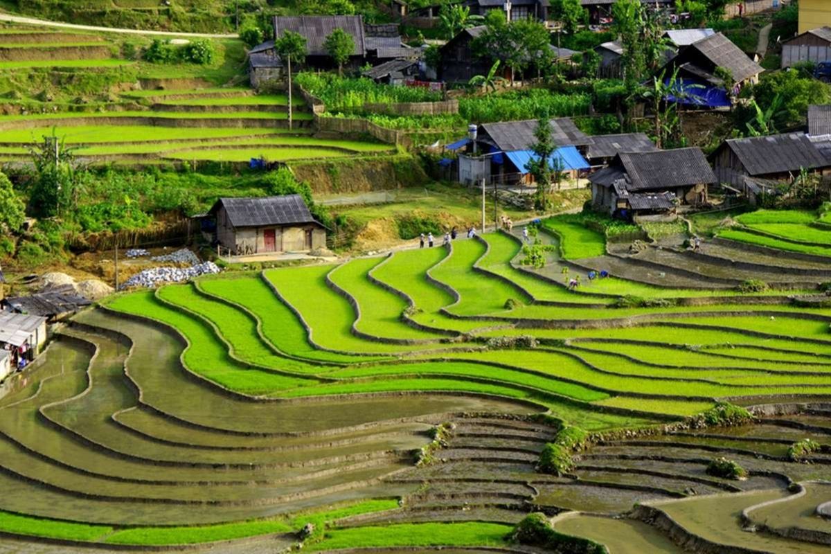 Sapa Tours Discover the Town.