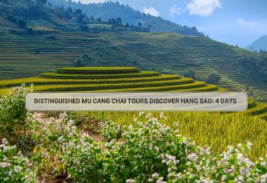 Distinguished Mu Cang Chai Tours Discover Hang Sao