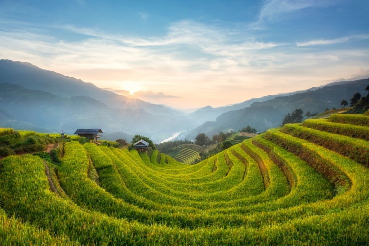 Discover the beauty of Mu Cang Chai