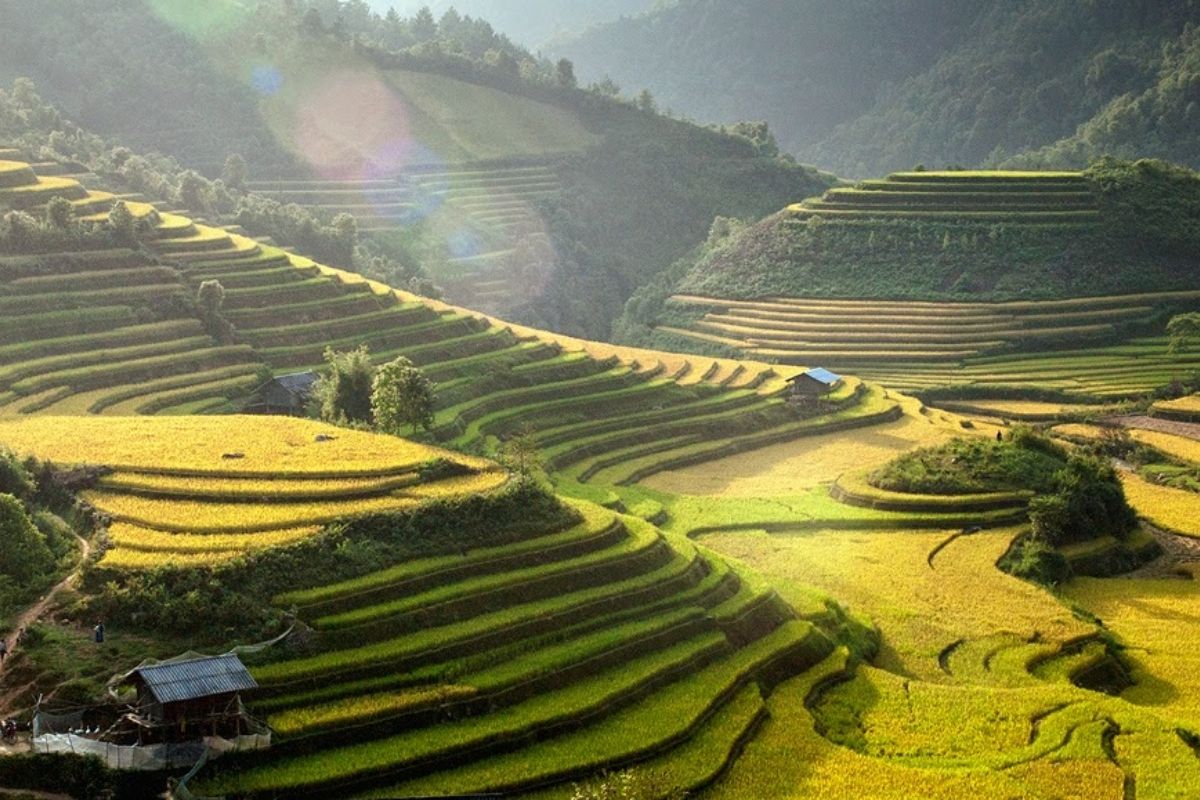 Mu Cang Chai Tours discover Hang Sao