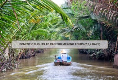 Domestic Flights To Can Tho Mekong Tours (2-3-4 days)