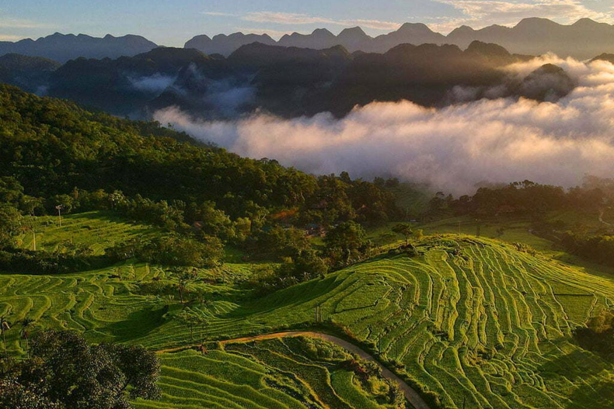 Easy Trekking Mai Chau Tours