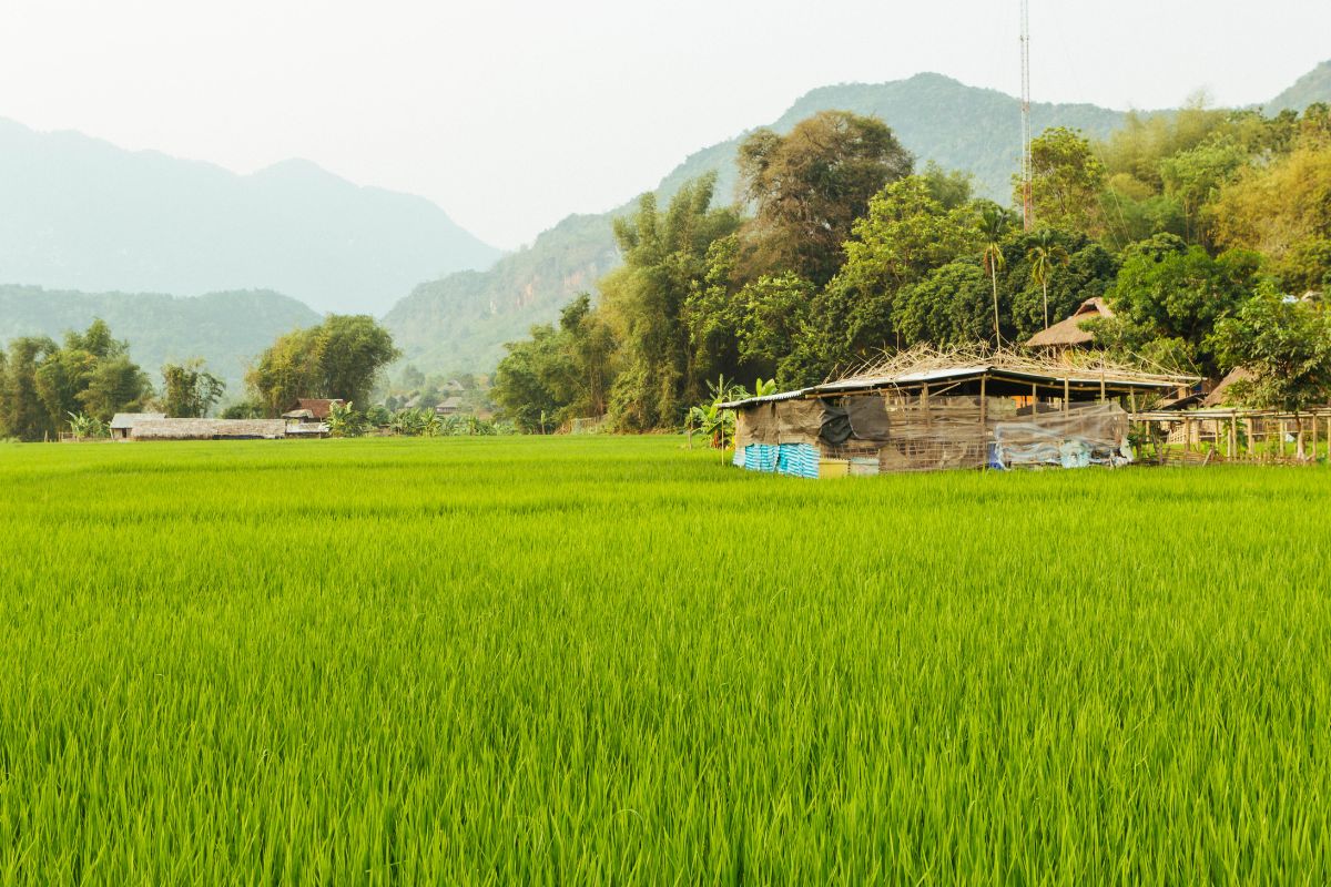 Educational Mai Chau Tours For School Vacation