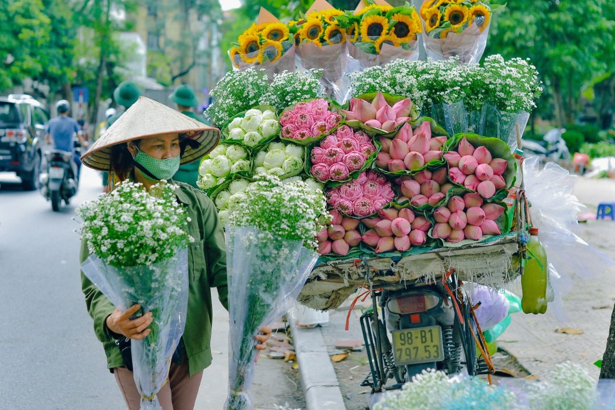 Enticing Hanoi Tours From Macau, China