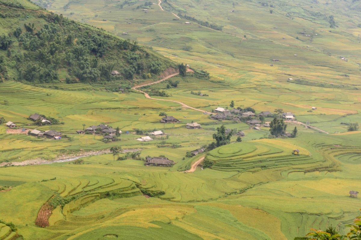 Hanoi - Sapa - Mu Cang Chai 