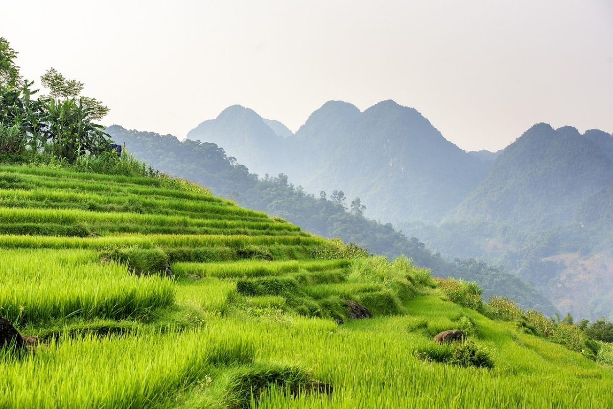 Family Mai Chau Tours with kids