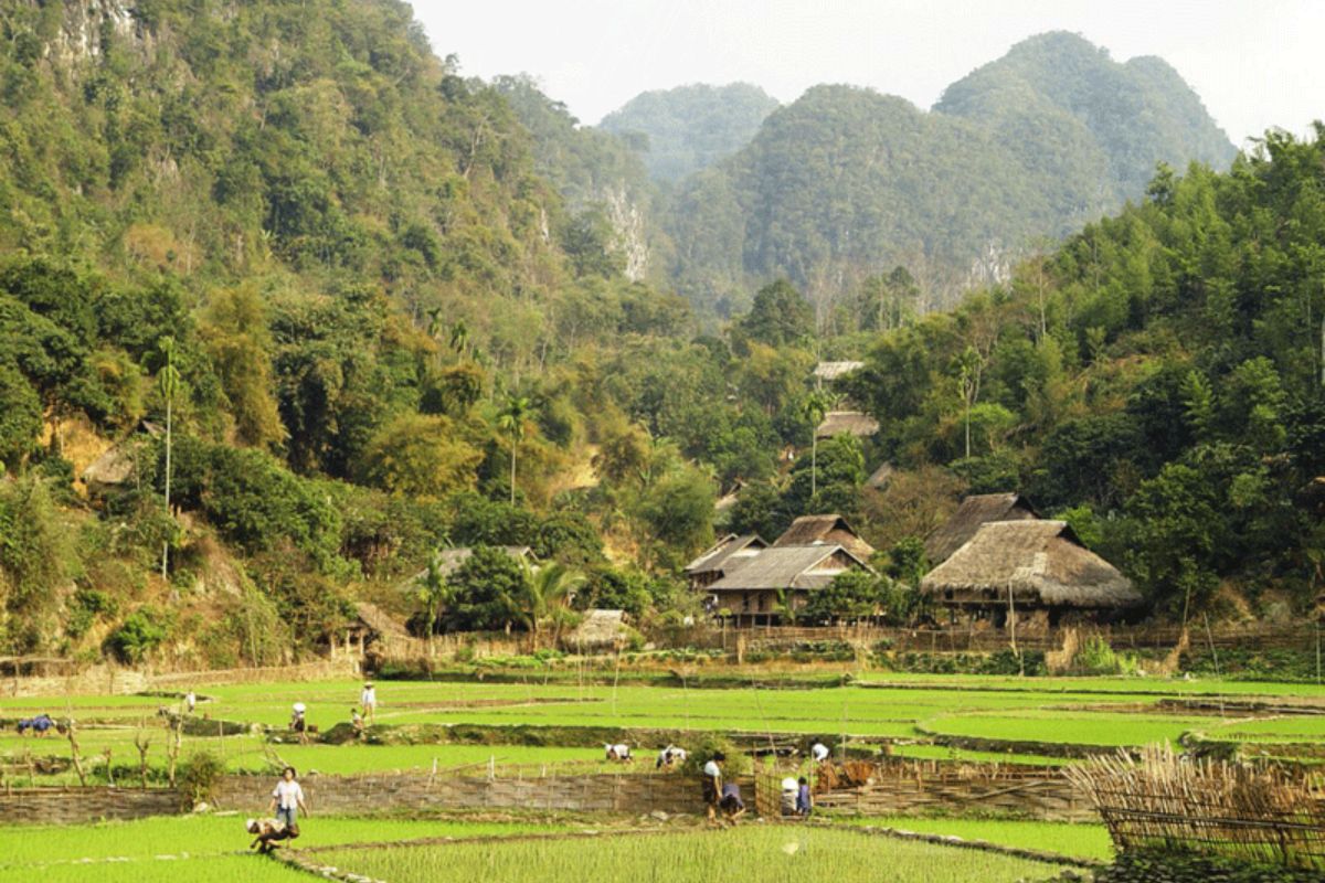 Family Pu Luong Tours With Kids 2,3 Days From Hanoi 