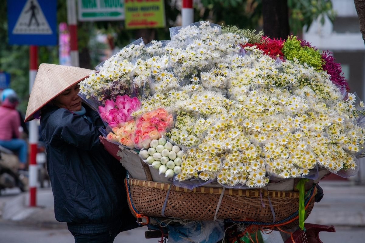  Hanoi’s charm, Halong’s beauty, Ninh Binh’s serenity, and Sapa’s majestic peaks! 