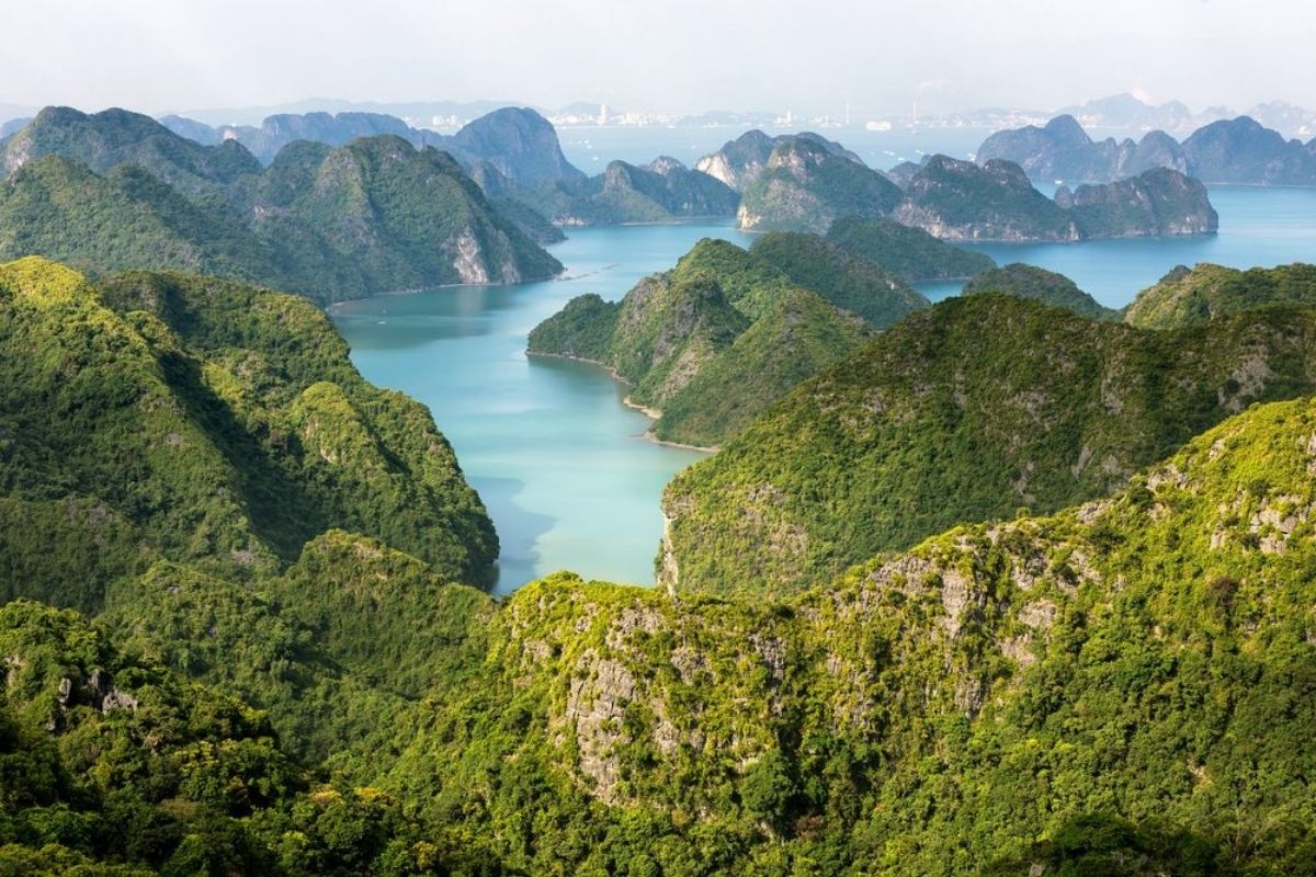 Journey through stunning caves, Halong Bay, and Cat Ba’s lush trails in 2-3 days! 