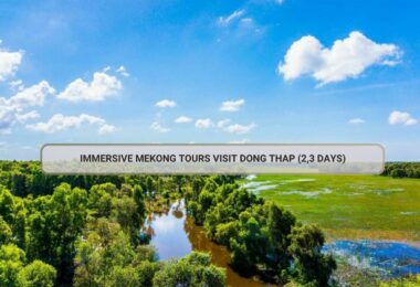 Immersive Mekong Tours Visit Dong Thap