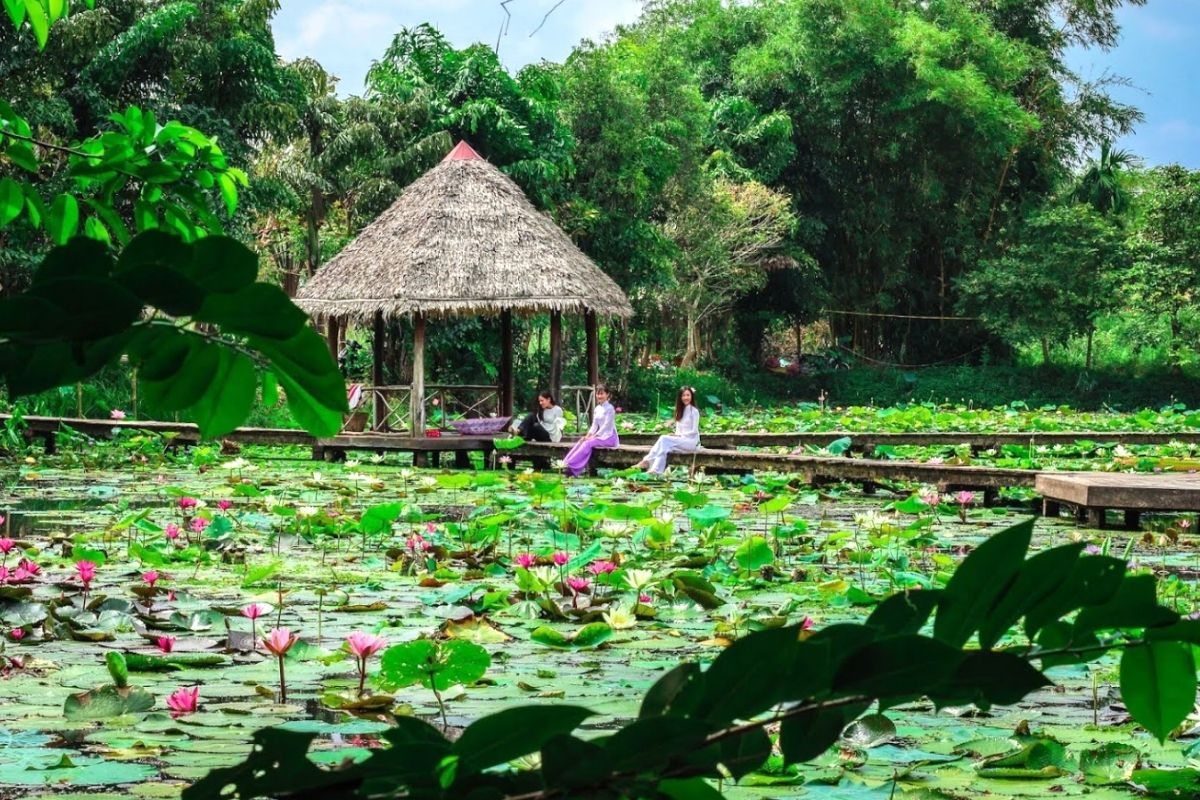 Mekong tours visit Dong Thap