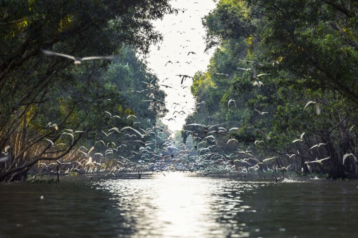  2-3 days of cultural immersion, lotus fields, and serene wetlands in Vietnam’s stunning Mekong Delta! 