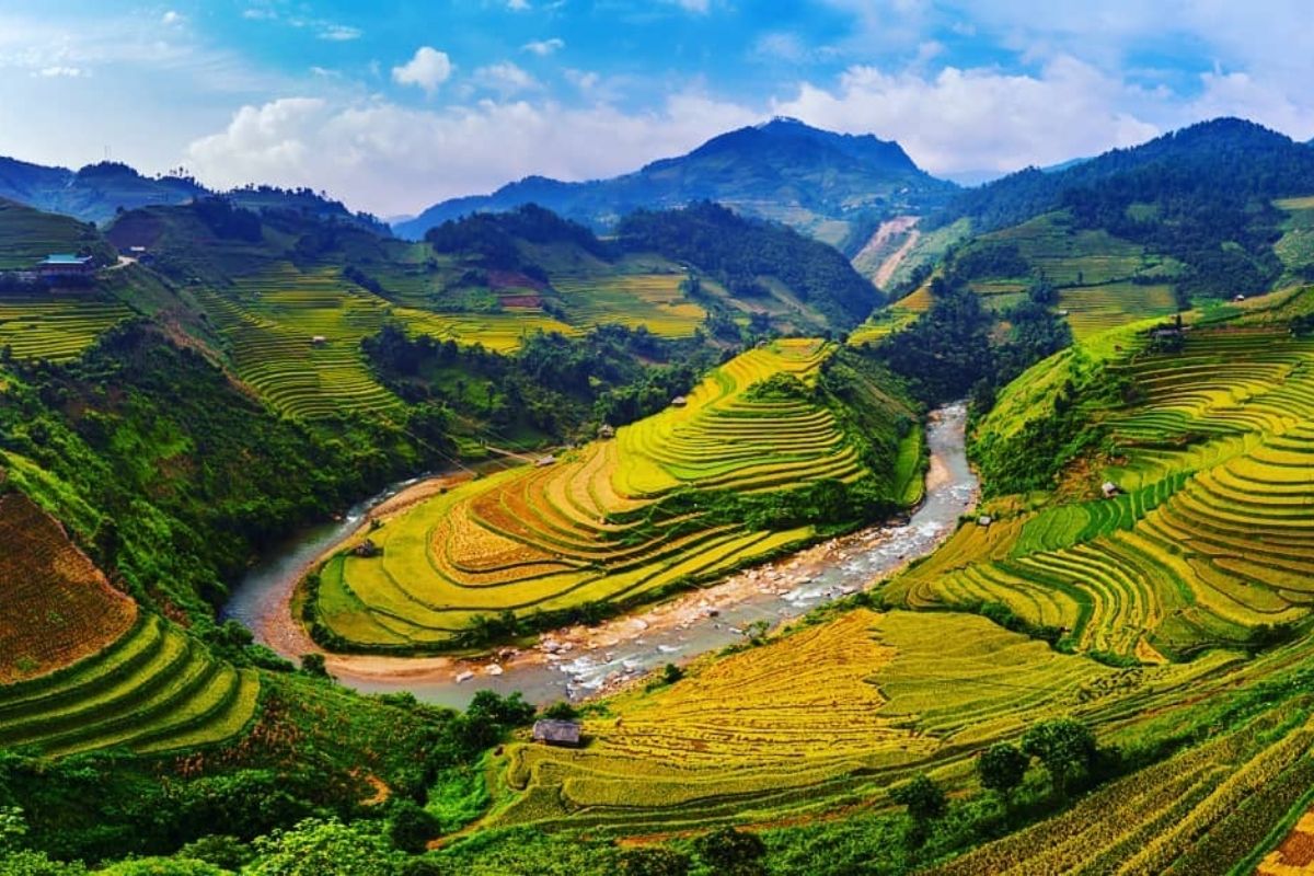 Incredible Mu Cang Chai Tours Discover Ta Chi Nhu