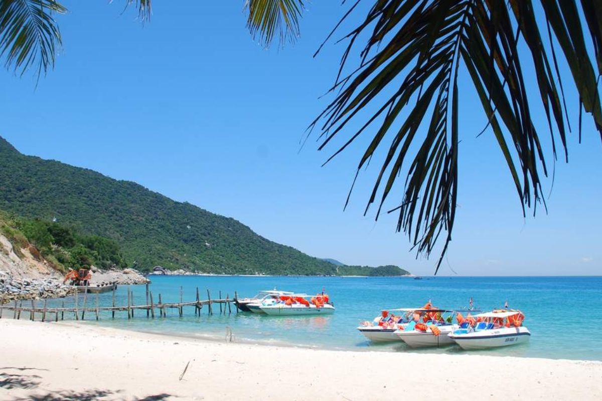 Joyable Vinh To Danang Tours With Domestic Flights