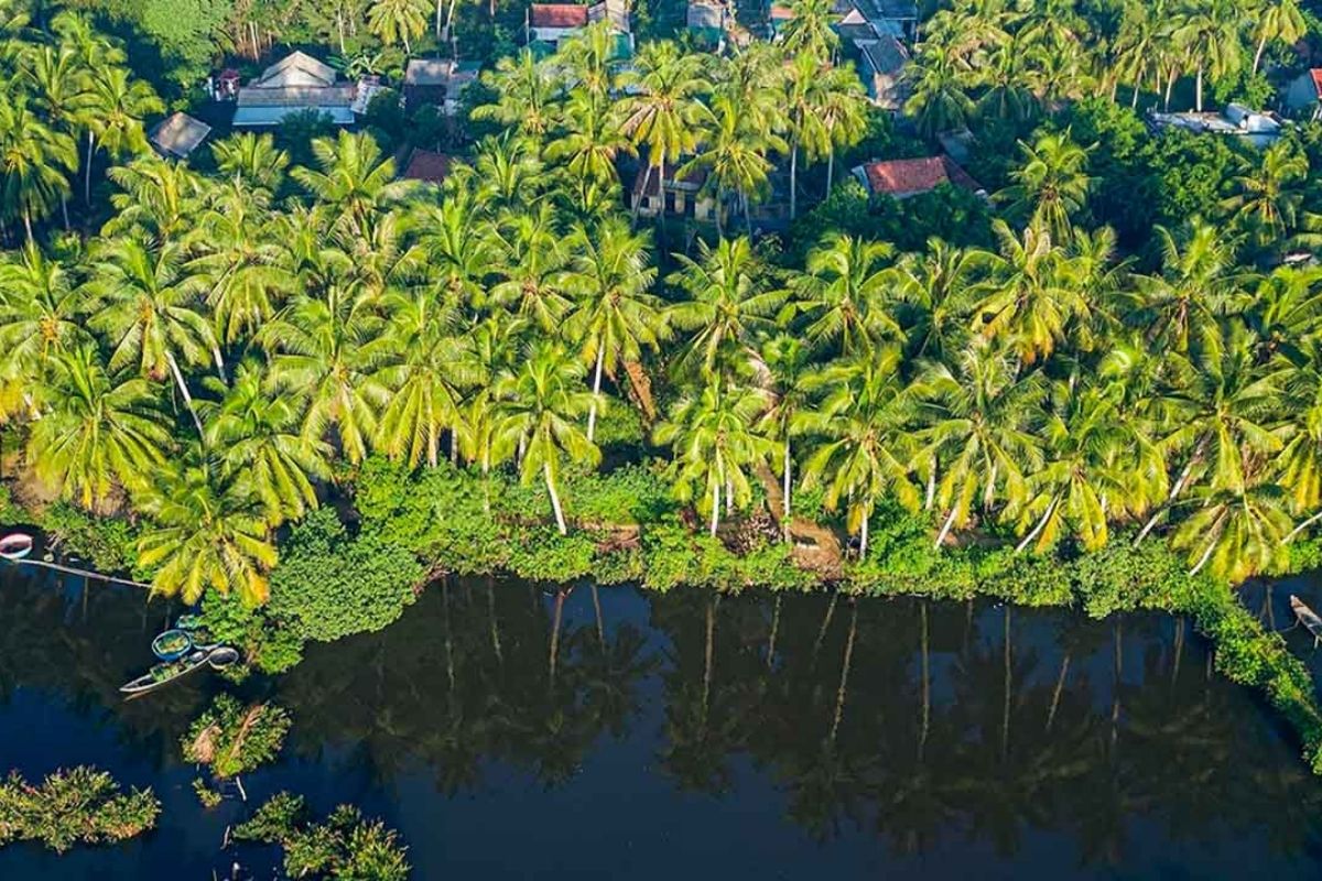 Experience the charm of the Mekong Delta