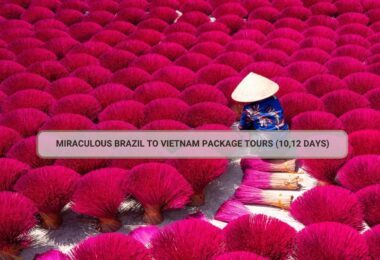 Miraculous Brazil To Vietnam Package Tours