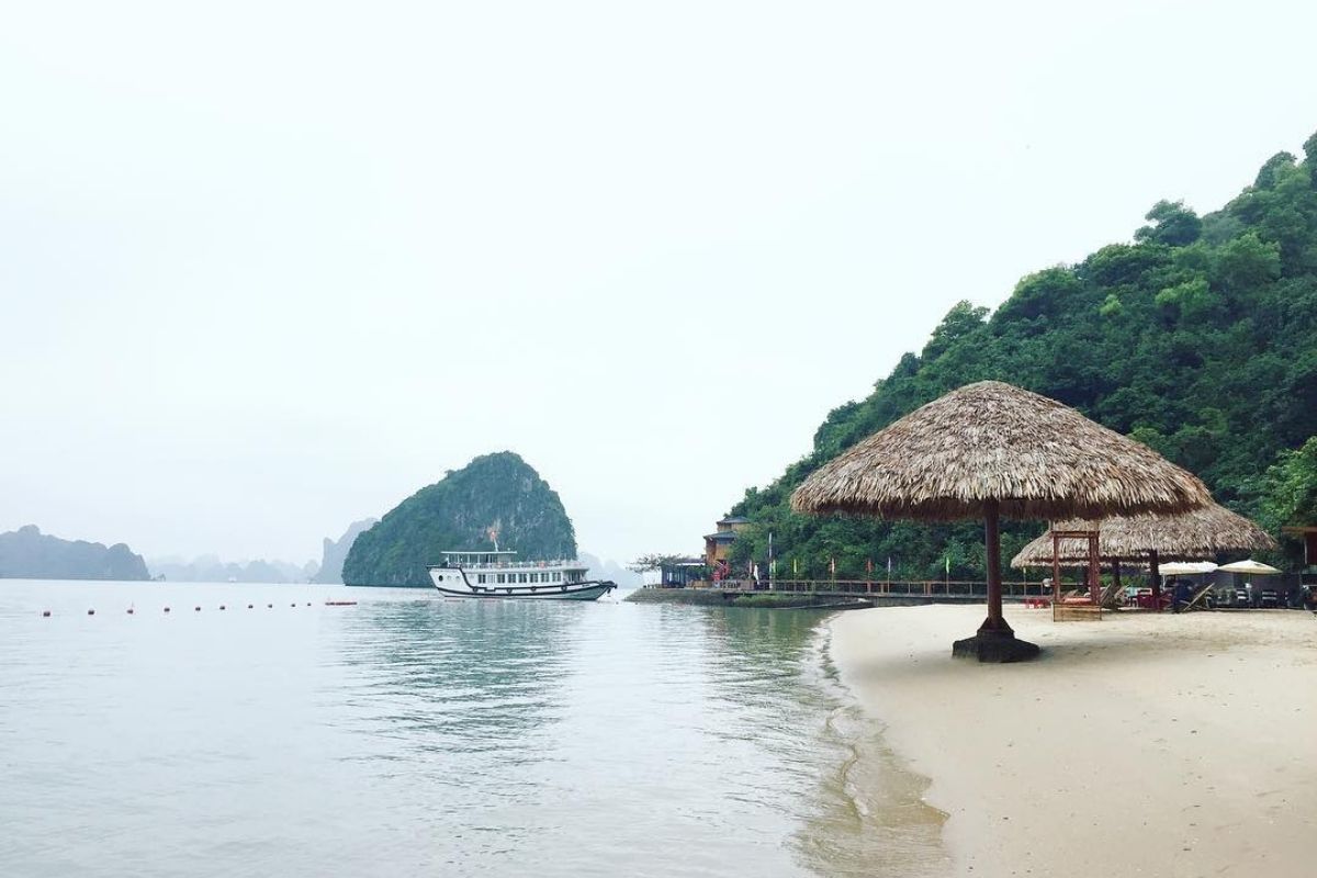 Discover serenity and adventure with Halong Tours