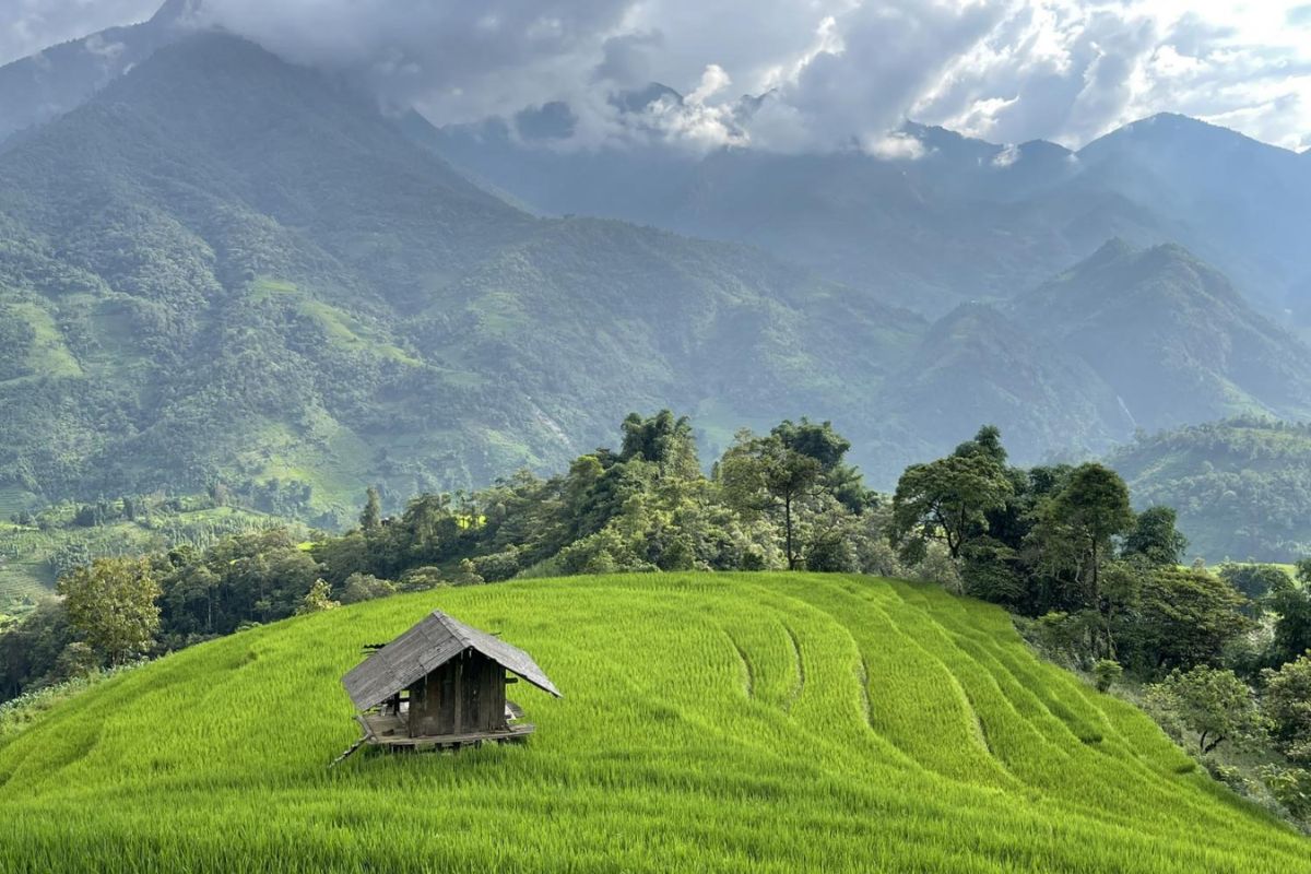 Sapa Tours Conquer Pu Gia Lan Peak (1.458m): 4 Days