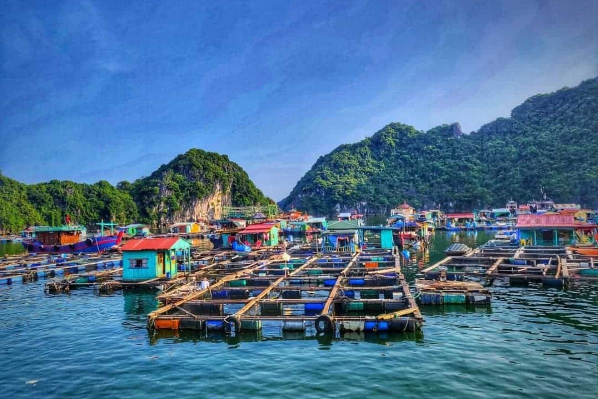 School Vacation Halong Tours (2,3 Days) From Hanoi 